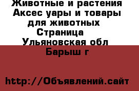 Животные и растения Аксесcуары и товары для животных - Страница 3 . Ульяновская обл.,Барыш г.